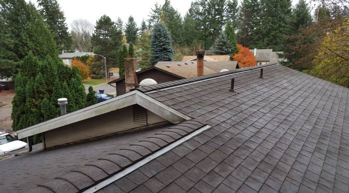 roof cleaning after vancouver